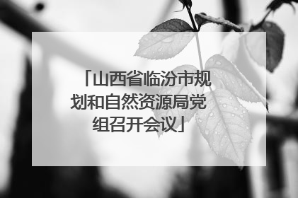 山西省临汾市规划和自然资源局党组召开会议