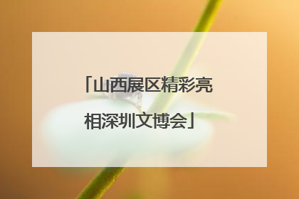 山西展区精彩亮相深圳文博会