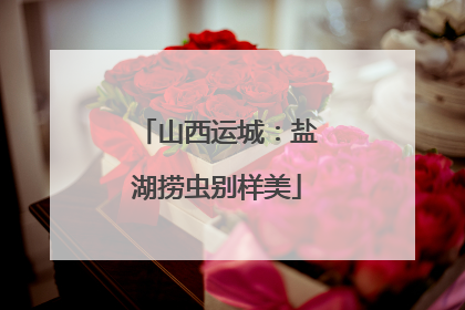 山西运城：盐湖捞虫别样美