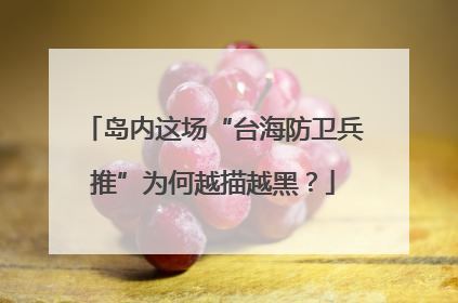 岛内这场“台海防卫兵推”为何越描越黑？