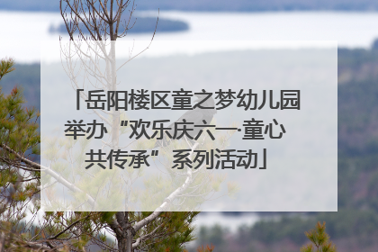 岳阳楼区童之梦幼儿园举办“欢乐庆六一·童心共传承”系列活动