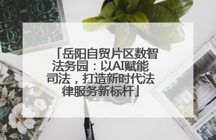 岳阳自贸片区数智法务园：以AI赋能司法，打造新时代法律服务新标杆