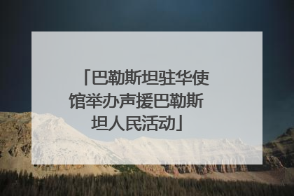 巴勒斯坦驻华使馆举办声援巴勒斯坦人民活动