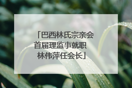 巴西林氏宗亲会首届理监事就职 林伟萍任会长