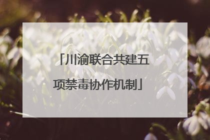 川渝联合共建五项禁毒协作机制