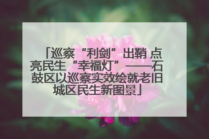 巡察“利剑”出鞘 点亮民生“幸福灯”——石鼓区以巡察实效绘就老旧城区民生新图景