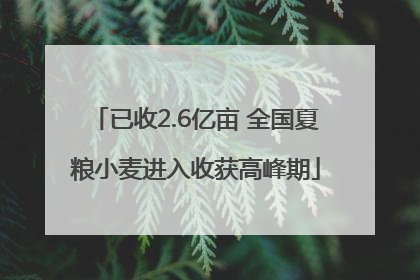 已收2.6亿亩 全国夏粮小麦进入收获高峰期