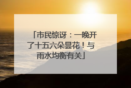 市民惊讶：一晚开了十五六朵昙花！与雨水均衡有关