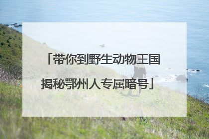 带你到野生动物王国揭秘鄂州人专属暗号