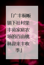 广丰桐畈镇下社村果丰苑家庭农场的百亩桃林迎来丰收季