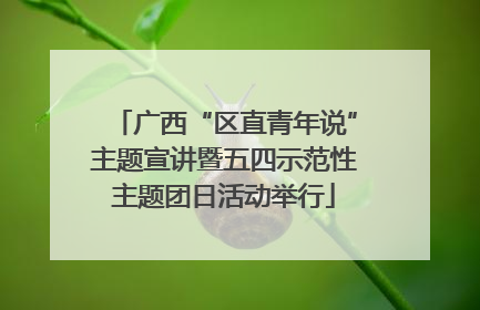 广西“区直青年说”主题宣讲暨五四示范性主题团日活动举行