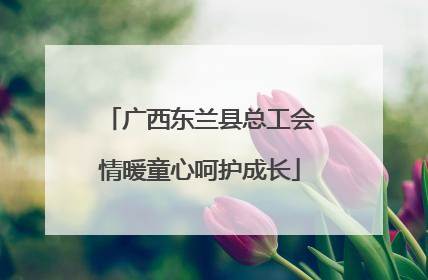 广西东兰县总工会情暖童心呵护成长