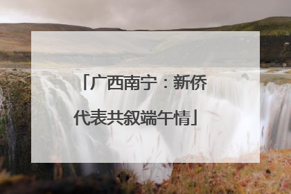 广西南宁：新侨代表共叙端午情