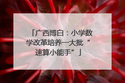 广西博白：小学数学改革培养一大批“速算小能手”