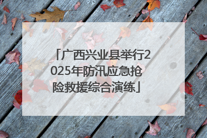 广西兴业县举行2025年防汛应急抢险救援综合演练