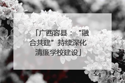 广西容县：“融合共建”持续深化清廉学校建设