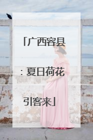 广西容县：夏日荷花引客来
