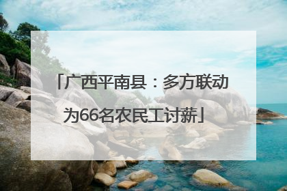 广西平南县：多方联动为66名农民工讨薪