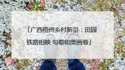 广西梧州乡村新景：田园铁路相映 勾勒和美画卷