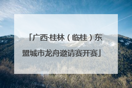 广西·桂林（临桂）东盟城市龙舟邀请赛开赛