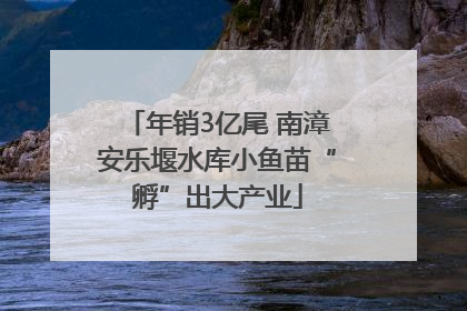 年销3亿尾 南漳安乐堰水库小鱼苗“孵”出大产业
