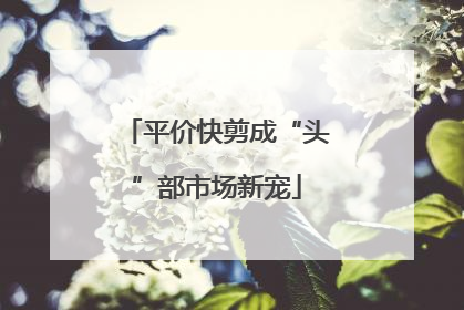 平价快剪成“头”部市场新宠