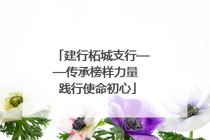 建行柘城支行——传承榜样力量 践行使命初心