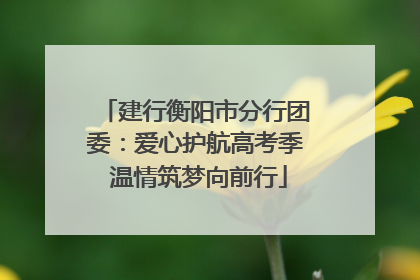 建行衡阳市分行团委：爱心护航高考季 温情筑梦向前行
