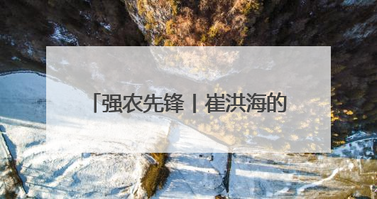 强农先锋丨崔洪海的“黄金叶”致富经