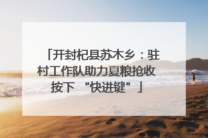 开封杞县苏木乡：驻村工作队助力夏粮抢收按下 “快进键”
