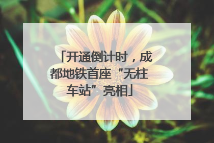 开通倒计时，成都地铁首座“无柱车站”亮相