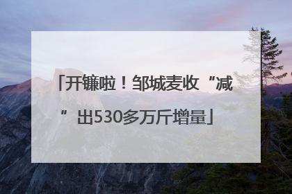 开镰啦！邹城麦收“减”出530多万斤增量