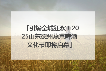 引爆全城狂欢！2025山东德州燕京啤酒文化节即将启幕