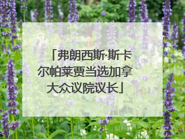 弗朗西斯·斯卡尔帕莱贾当选加拿大众议院议长