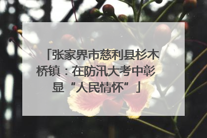 张家界市慈利县杉木桥镇：在防汛大考中彰显“人民情怀”