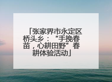 张家界市永定区桥头乡：“手挽春苗，心耕田野”春耕体验活动