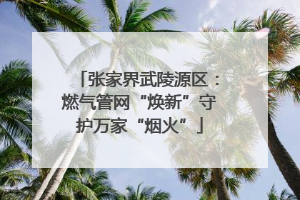 张家界武陵源区：燃气管网“焕新”守护万家“烟火”