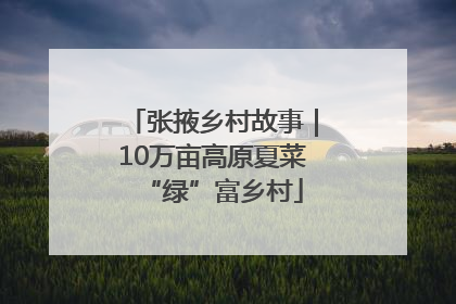 张掖乡村故事｜10万亩高原夏菜“绿”富乡村