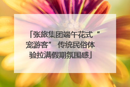 张旅集团端午花式“宠游客” 传统民俗体验拉满假期氛围感