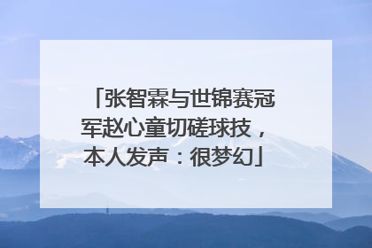 张智霖与世锦赛冠军赵心童切磋球技，本人发声：很梦幻
