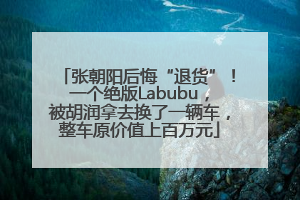 张朝阳后悔“退货”！一个绝版Labubu，被胡润拿去换了一辆车，整车原价值上百万元