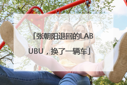 张朝阳退回的LABUBU，换了一辆车