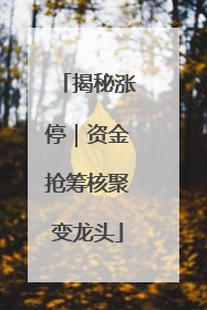 揭秘涨停｜资金抢筹核聚变龙头