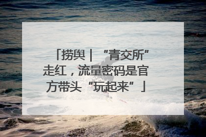 捞舆｜“青交所”走红，流量密码是官方带头“玩起来”