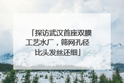 探访武汉首座双膜工艺水厂，筛网孔径比头发丝还细