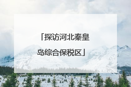 探访河北秦皇岛综合保税区