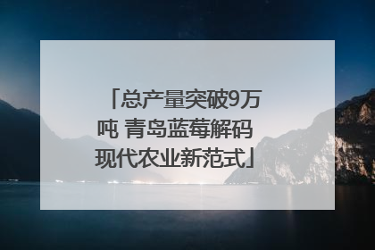 总产量突破9万吨 青岛蓝莓解码现代农业新范式