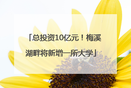 总投资10亿元！梅溪湖畔将新增一所大学