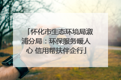 怀化市生态环境局溆浦分局：环保服务暖人心 信用帮扶伴企行