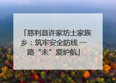 慈利县许家坊土家族乡：筑牢安全防线 一路“未”爱护航